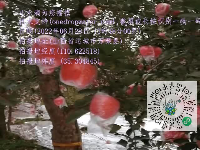 8cfd960e6b4a910dbb1d0699c1b1652b.mp4