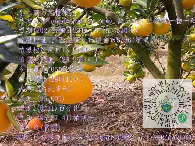 b9799b70a0fb44602c39408f71633394.mp4