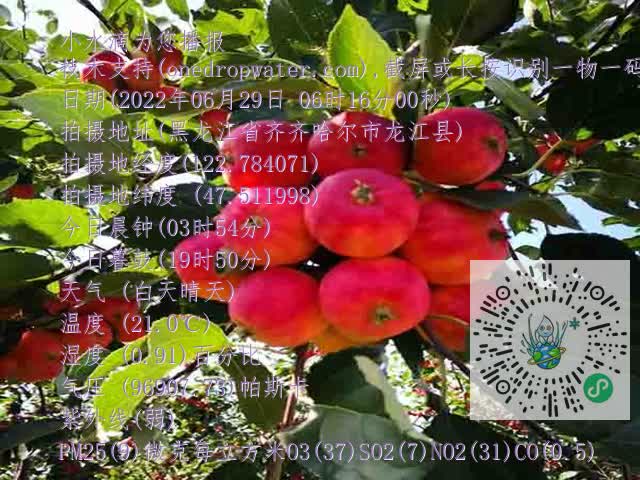 9e52d468dd5ff3824cf170518c89640c.mp4