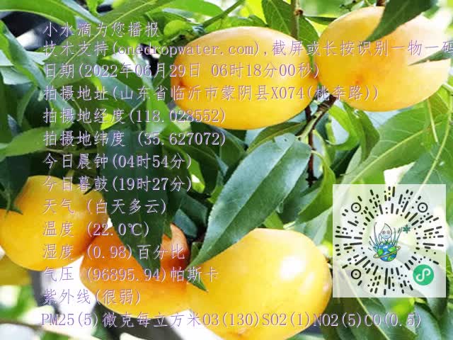 accf8854fa1eeb580fa5e72687844b29.mp4