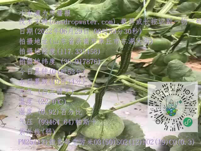 0.mp4