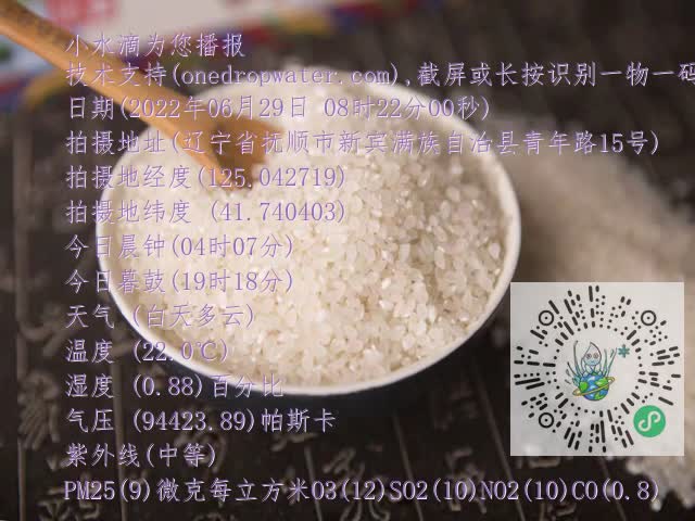 0.mp4