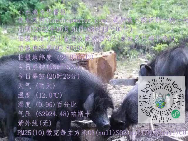 0.mp4