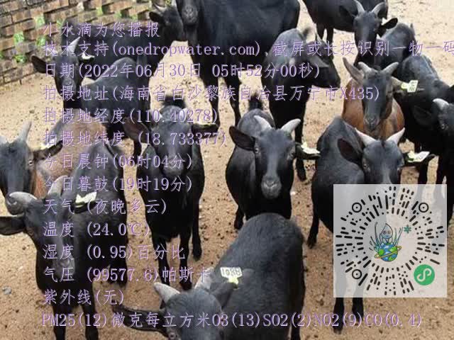 0df6b02a845ca5a6ab241ea637f45922.mp4
