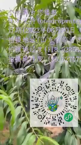 FmwbHtxuD_5eWXDZIXIPjki-8qPJmp4