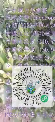 FhB8RxprR0eFXNN8gp8TGdYyRqromp4