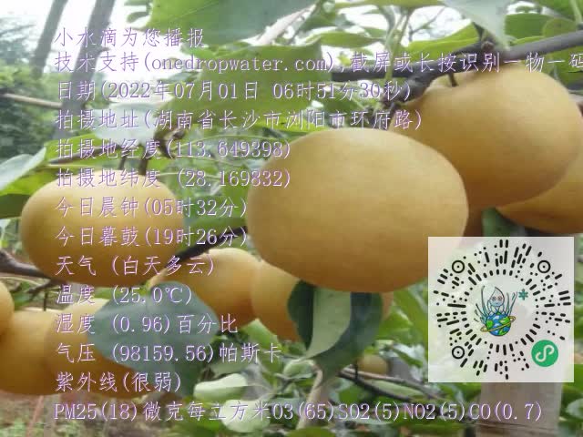 0.mp4