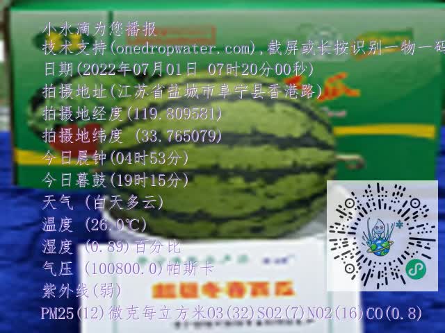 0.mp4