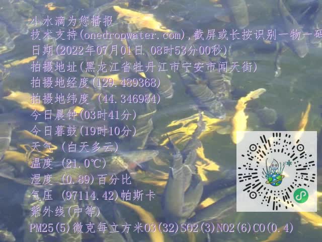 0.mp4