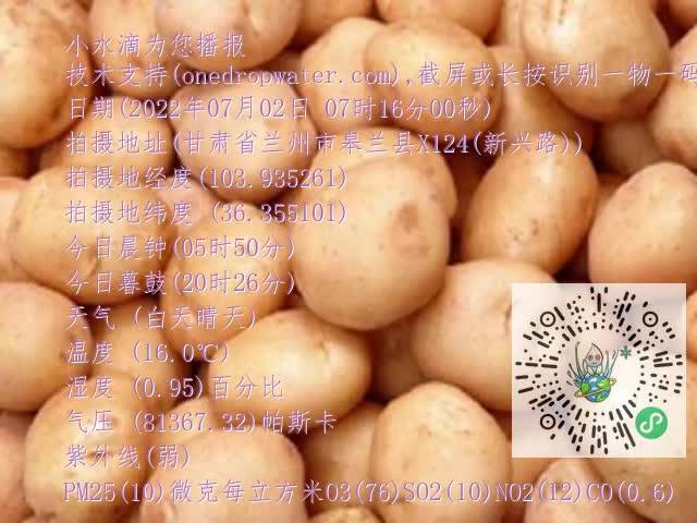 0.mp4