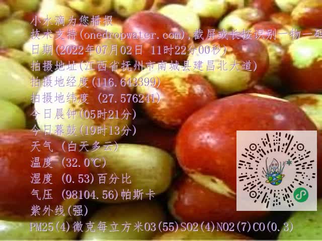 0.mp4