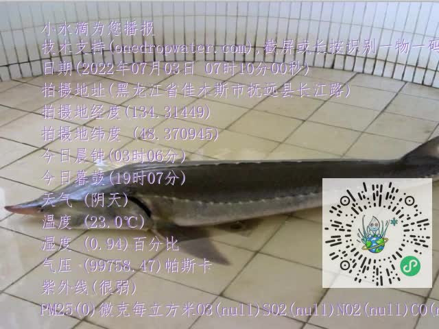 0.mp4