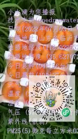FjF93LzFNbPxekDGGn4_ihgpItndmp4