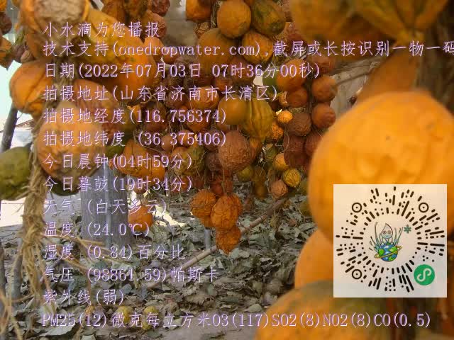 0.mp4