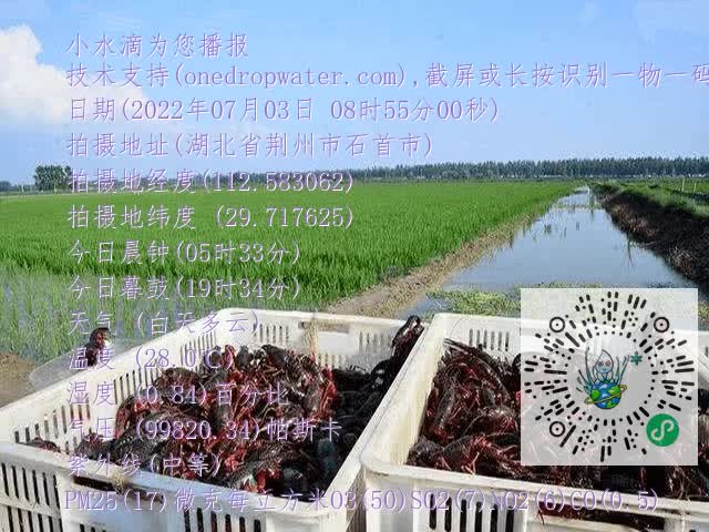 9c8b76a398c17587dc2fc48d5d266ed1.mp4
