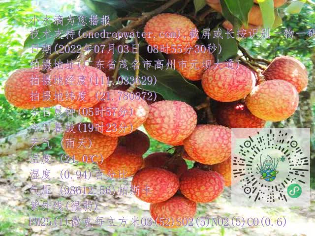 1759a5f74dc72080bc3ceb905bd71356.mp4