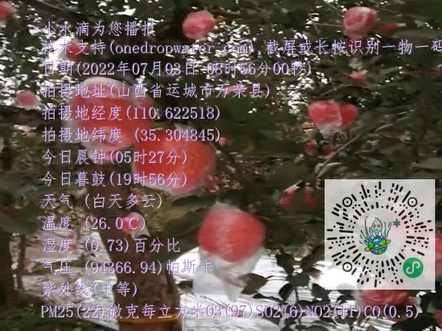 8cfd960e6b4a910dbb1d0699c1b1652b.mp4