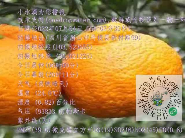 fcd7ad02a655962e6ab6a61dd021584d.mp4