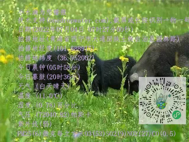 0.mp4