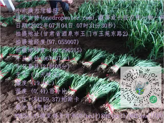 0.mp4