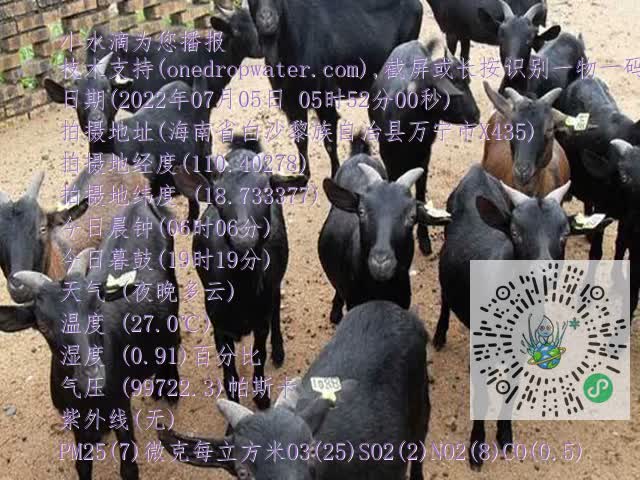 0df6b02a845ca5a6ab241ea637f45922.mp4