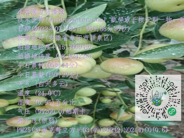0.mp4