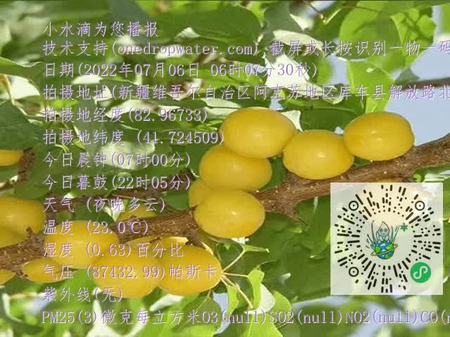 67804975fc4d755441263197e25d19dd.mp4