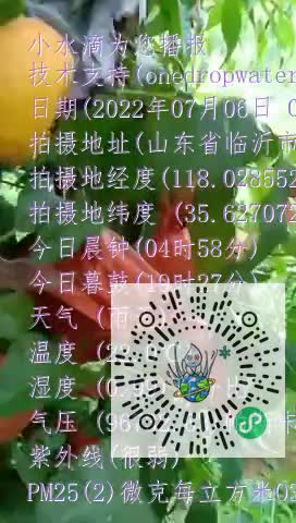FjrMiWTaKV13e3OaXfqHLneUY_Yamp4