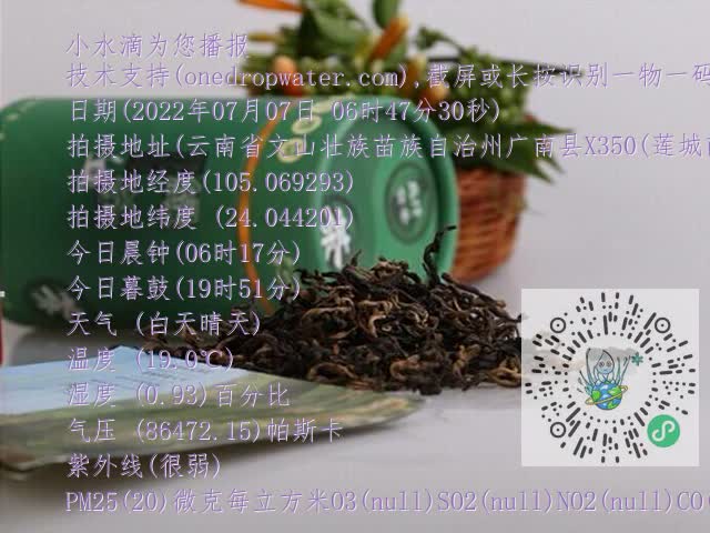 0.mp4