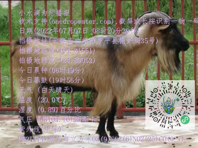 0.mp4