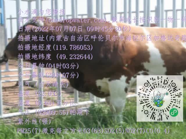 0.mp4