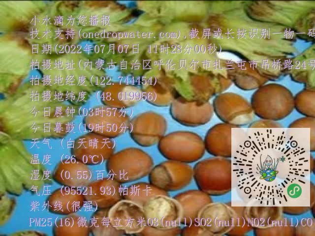 0.mp4