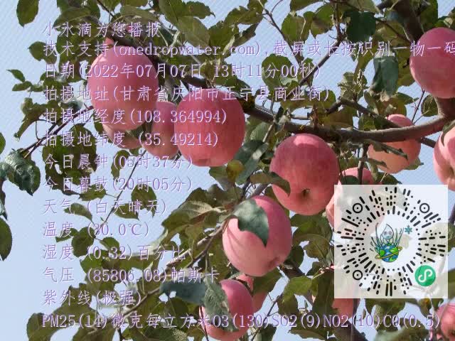 0.mp4