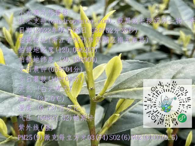 bcb53627134d4c6267f5e8555c504d40.mp4
