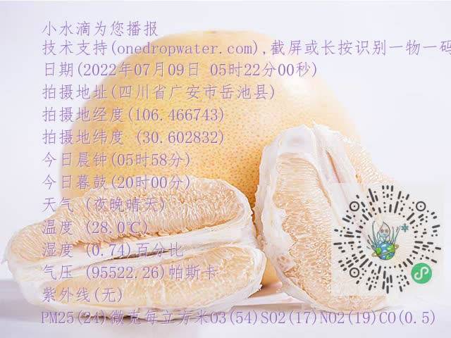 39b012b72081a8c328a6d4b6c17a3612.mp4