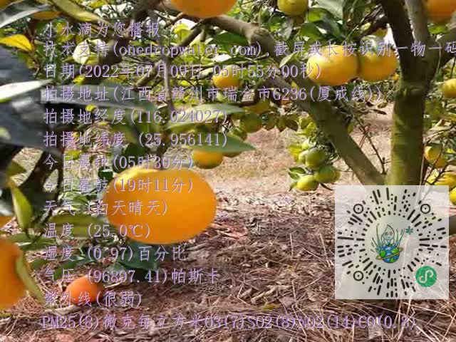 b9799b70a0fb44602c39408f71633394.mp4
