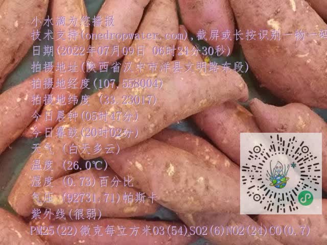 0.mp4