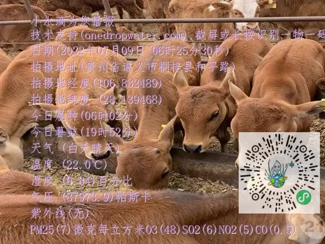 0.mp4