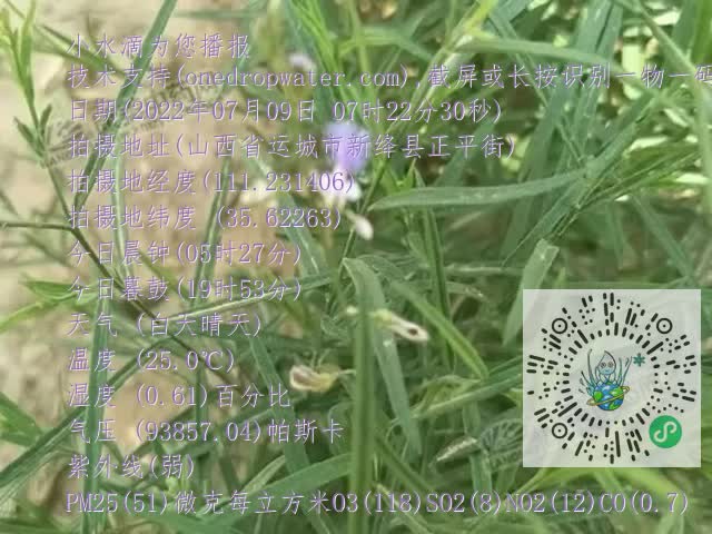 0.mp4