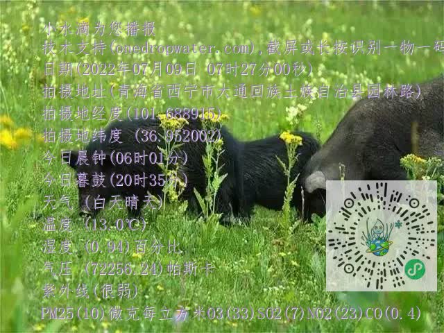 0.mp4