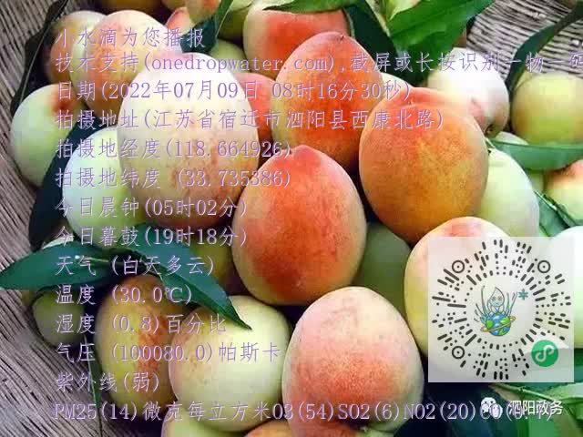 0.mp4