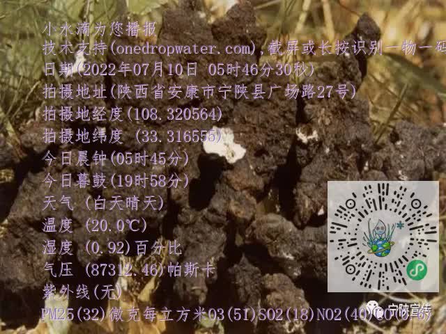 0.mp4