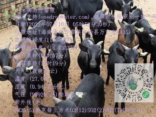 0df6b02a845ca5a6ab241ea637f45922.mp4