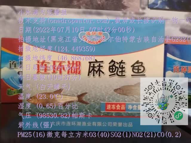 0.mp4