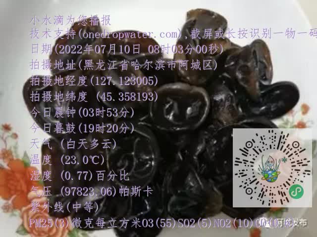 0.mp4