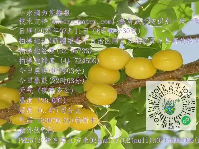 67804975fc4d755441263197e25d19dd.mp4