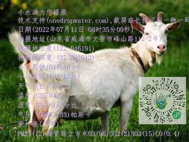 0.mp4