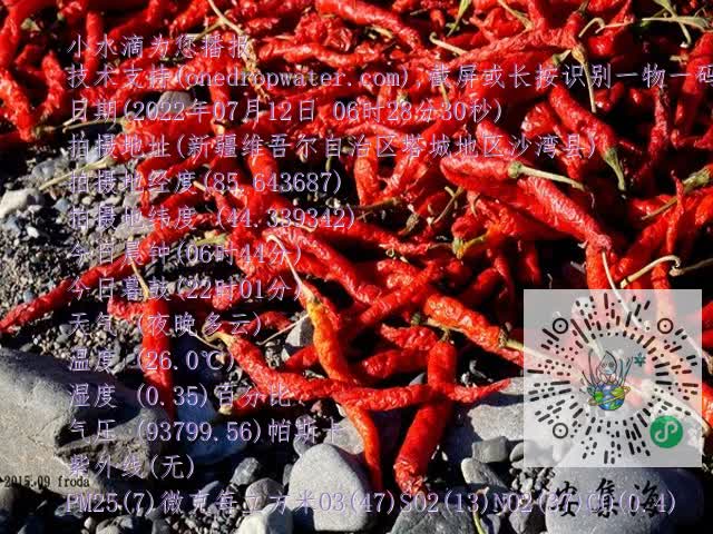 0.mp4