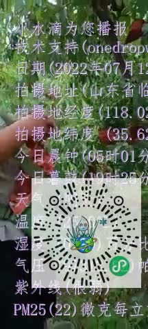 Fiyzpg8XsNQa3qD8xcPfrbOLekQ0mp4