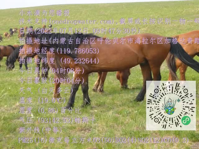 0.mp4